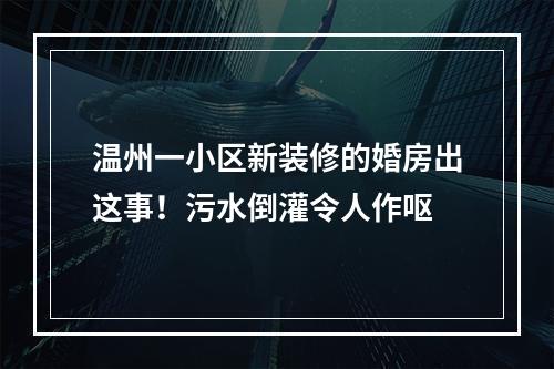 温州一小区新装修的婚房出这事！污水倒灌令人作呕