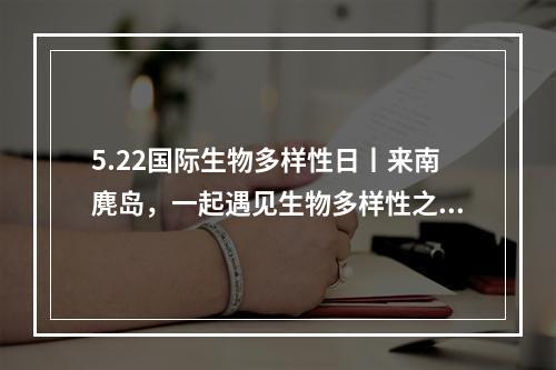 5.22国际生物多样性日丨来南麂岛，一起遇见生物多样性之美