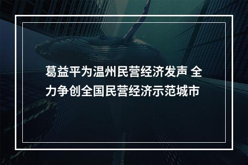 葛益平为温州民营经济发声 全力争创全国民营经济示范城市