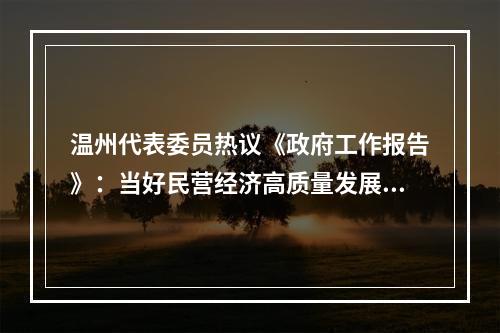 温州代表委员热议《政府工作报告》：当好民营经济高质量发展“探路者”