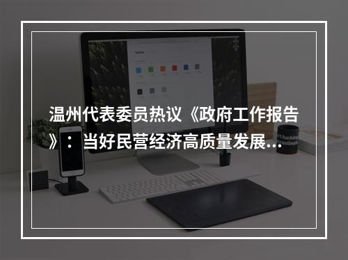 温州代表委员热议《政府工作报告》：当好民营经济高质量发展“探路者”