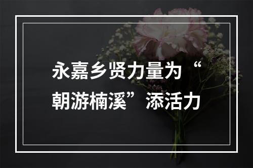 永嘉乡贤力量为“朝游楠溪”添活力