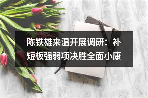 陈铁雄来温开展调研：补短板强弱项决胜全面小康