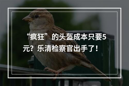 “疯狂”的头盔成本只要5元？乐清检察官出手了！