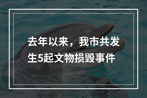 去年以来，我市共发生5起文物损毁事件