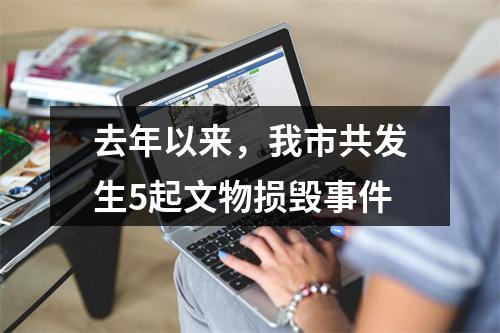 去年以来，我市共发生5起文物损毁事件