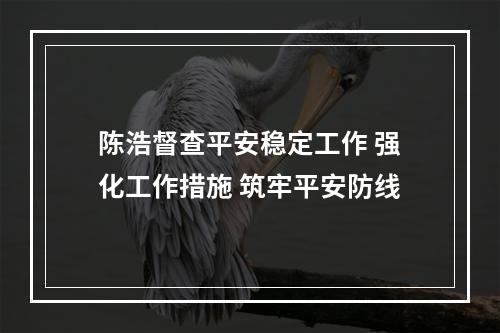 陈浩督查平安稳定工作 强化工作措施 筑牢平安防线