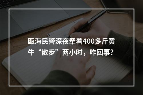 瓯海民警深夜牵着400多斤黄牛“散步”两小时，咋回事？