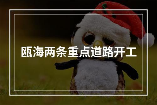 瓯海两条重点道路开工