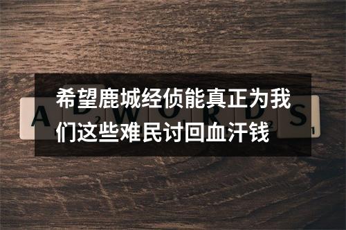 希望鹿城经侦能真正为我们这些难民讨回血汗钱