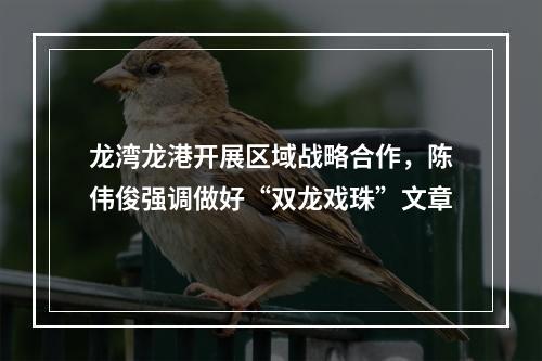 龙湾龙港开展区域战略合作，陈伟俊强调做好“双龙戏珠”文章