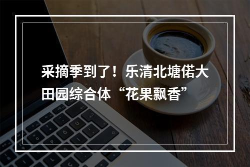 采摘季到了！乐清北塘偌大田园综合体“花果飘香”