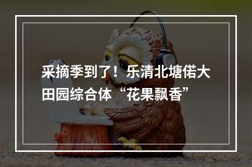 采摘季到了！乐清北塘偌大田园综合体“花果飘香”