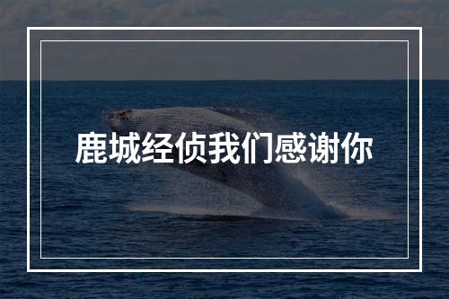 鹿城经侦我们感谢你