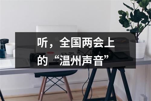 听，全国两会上的“温州声音”
