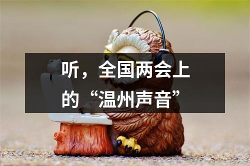 听，全国两会上的“温州声音”