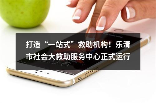 打造“一站式”救助机构！乐清市社会大救助服务中心正式运行