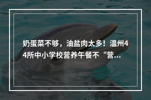 奶蛋菜不够，油盐肉太多！温州44所中小学校营养午餐不“营养”