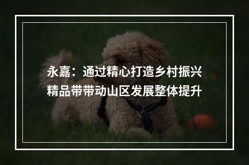 永嘉：通过精心打造乡村振兴精品带带动山区发展整体提升