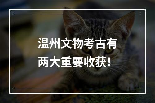 温州文物考古有两大重要收获！