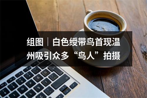 组图｜白色绶带鸟首现温州吸引众多“鸟人”拍摄