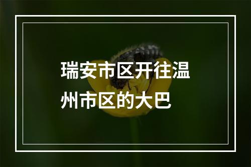 瑞安市区开往温州市区的大巴