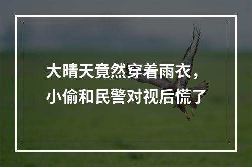 大晴天竟然穿着雨衣，小偷和民警对视后慌了
