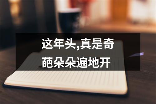 这年头,真是奇葩朵朵遍地开