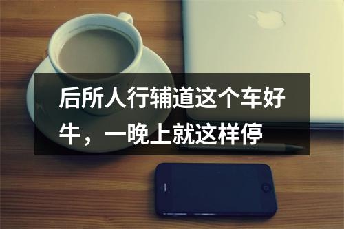 后所人行辅道这个车好牛，一晚上就这样停