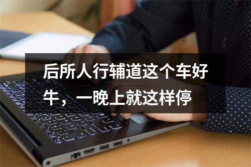 后所人行辅道这个车好牛，一晚上就这样停