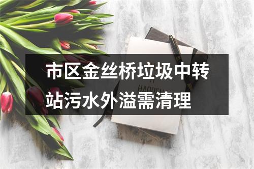 市区金丝桥垃圾中转站污水外溢需清理