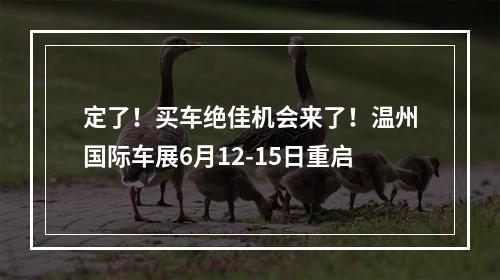 定了！买车绝佳机会来了！温州国际车展6月12-15日重启