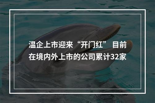 温企上市迎来“开门红” 目前在境内外上市的公司累计32家