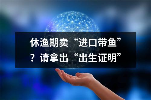 休渔期卖“进口带鱼”？请拿出“出生证明”