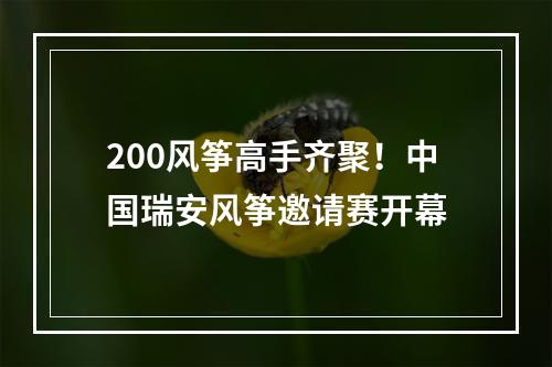200风筝高手齐聚！中国瑞安风筝邀请赛开幕