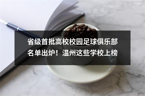 省级首批高校校园足球俱乐部名单出炉！温州这些学校上榜