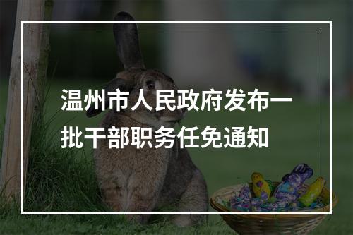 温州市人民政府发布一批干部职务任免通知