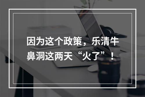 因为这个政策，乐清牛鼻洞这两天“火了”！
