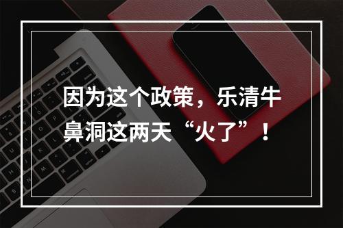 因为这个政策，乐清牛鼻洞这两天“火了”！