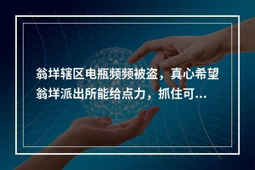 翁垟辖区电瓶频频被盗，真心希望翁垟派出所能给点力，抓住可恶的小偷