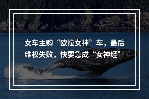女车主购“欧拉女神”车，最后维权失败，快要急成“女神经”