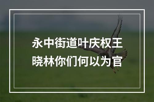 永中街道叶庆权王晓林你们何以为官