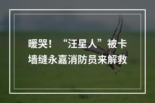 暖哭！“汪星人”被卡墙缝永嘉消防员来解救
