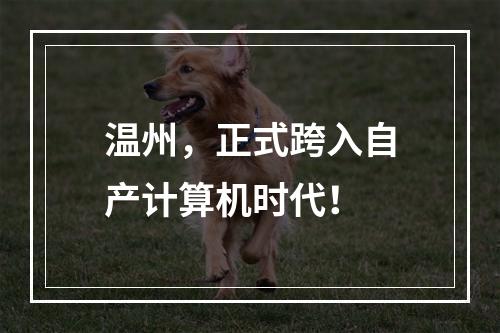 温州，正式跨入自产计算机时代！