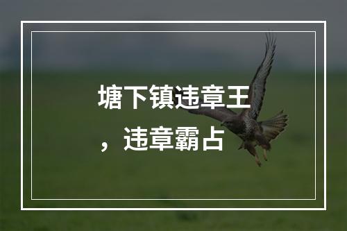 塘下镇违章王，违章霸占