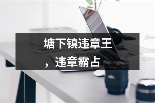 塘下镇违章王，违章霸占