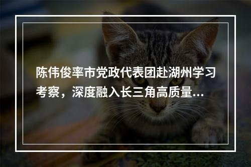 陈伟俊率市党政代表团赴湖州学习考察，深度融入长三角高质量一体化发展