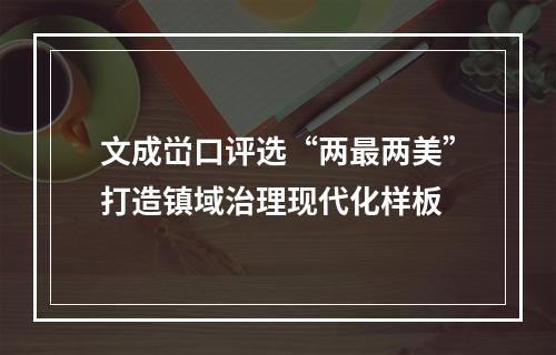 文成峃口评选“两最两美”打造镇域治理现代化样板