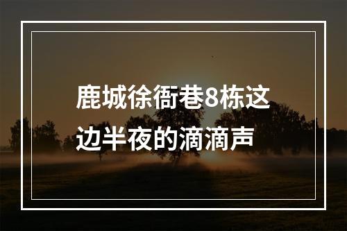 鹿城徐衙巷8栋这边半夜的滴滴声
