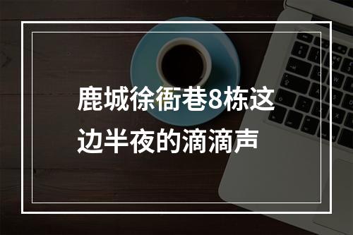 鹿城徐衙巷8栋这边半夜的滴滴声